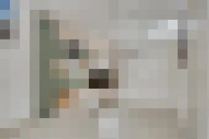 de Distele 18 Maastricht thumbnail 14