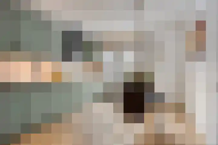 de Distele 18 Maastricht thumbnail 15