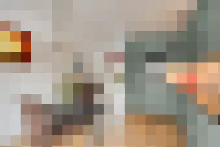 de Distele 18 Maastricht thumbnail 20