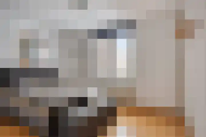 de Distele 18 Maastricht thumbnail 22