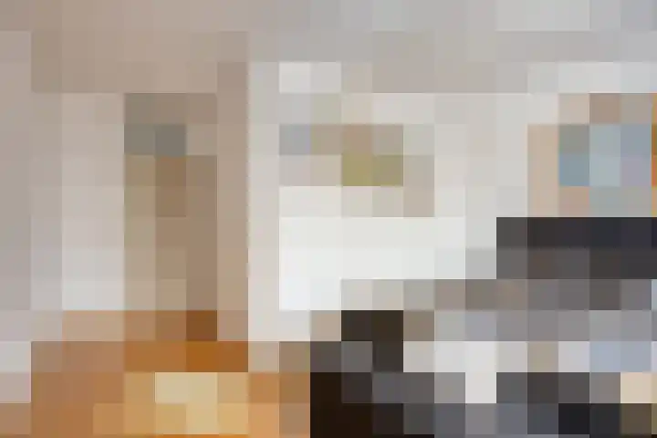 de Distele 18 Maastricht thumbnail 23