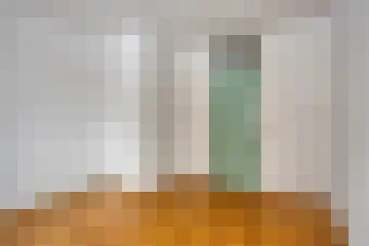de Distele 18 Maastricht thumbnail 29