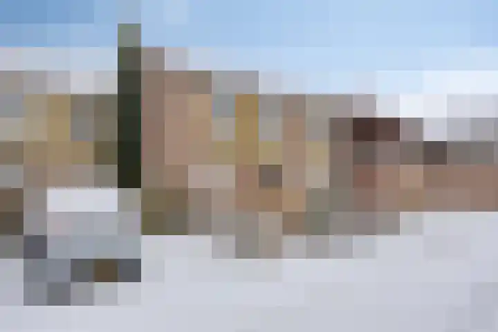de Distele 18 Maastricht thumbnail 38