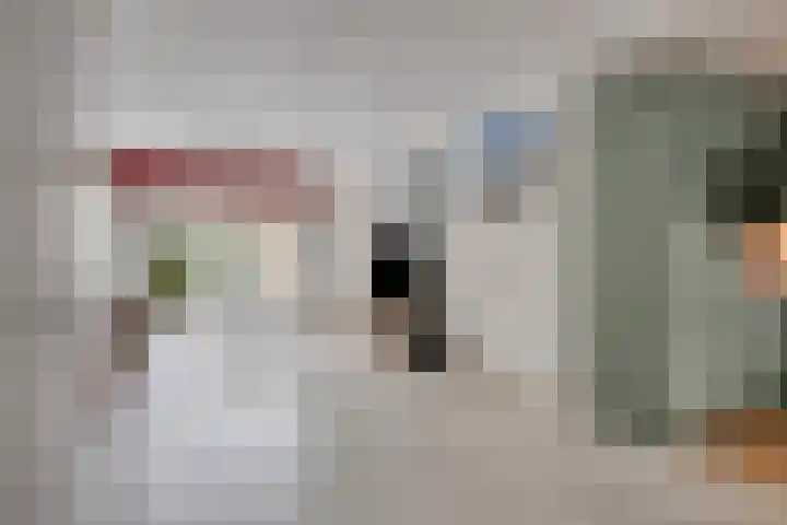 de Distele 18 Maastricht thumbnail 9