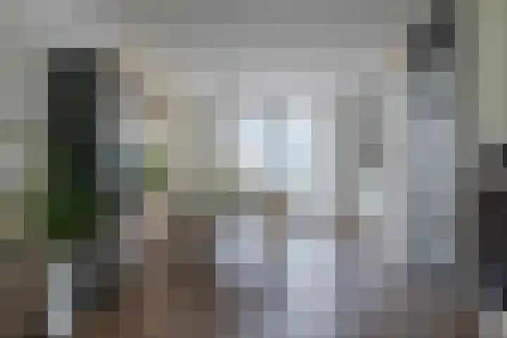 De Dobbe 14 Opende thumbnail 12