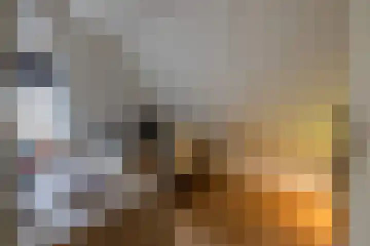 De Dobbe 14 Opende thumbnail 16