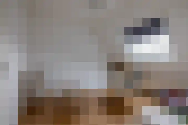 De Dobbe 14 Opende thumbnail 17