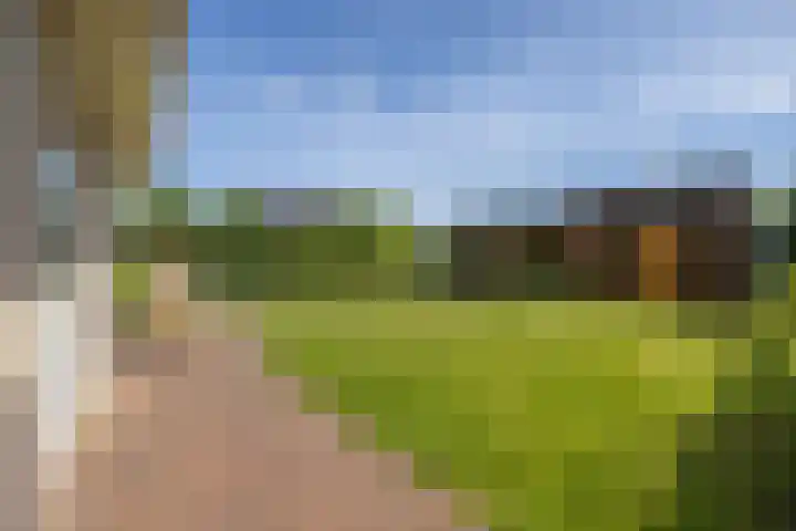 De Dobbe 14 Opende thumbnail 38