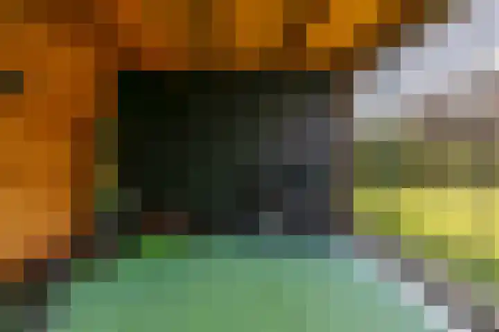 De Dobbe 14 Opende thumbnail 41