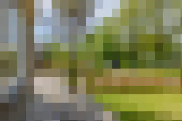 De Dobbe 14 Opende thumbnail 43