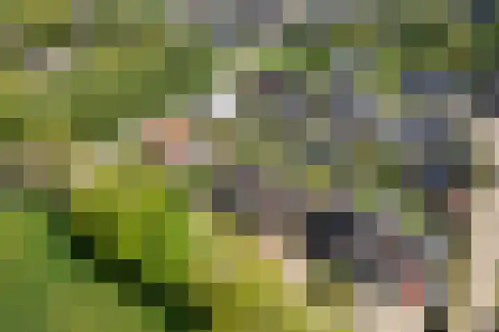 De Dobbe 14 Opende thumbnail 44