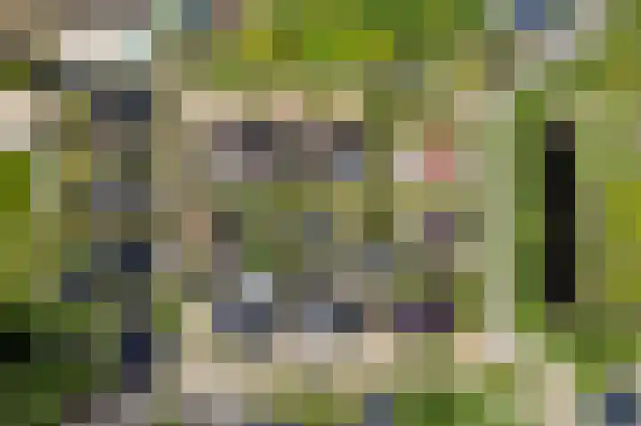 De Dobbe 14 Opende thumbnail 46