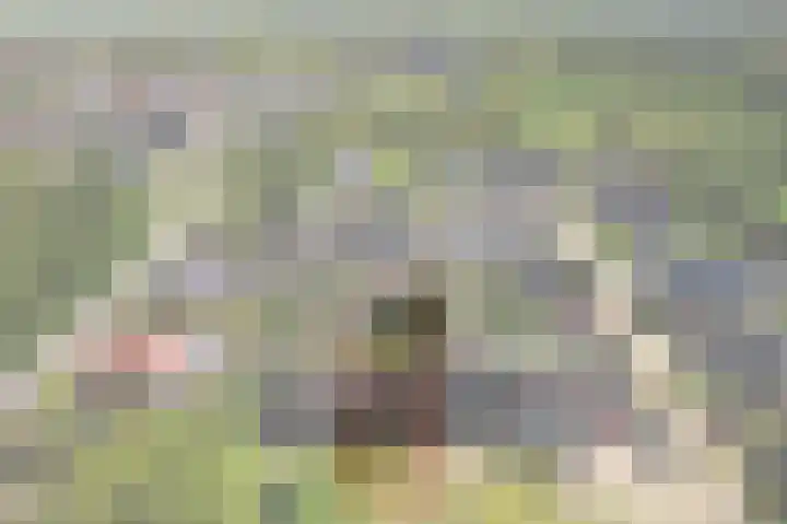 De Dobbe 14 Opende thumbnail 48