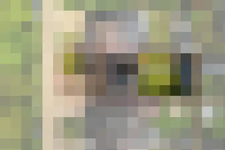 De Dobbe 14 Opende thumbnail 49