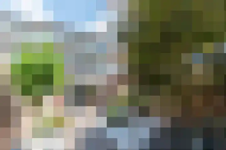de Doelen 11 Geldrop thumbnail 22