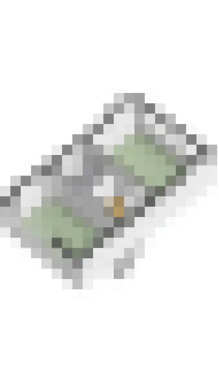 de Doelen 11 Geldrop thumbnail 36