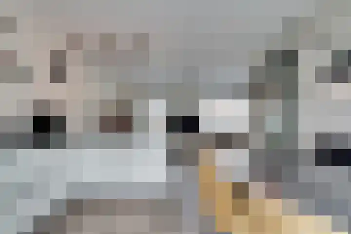 de Doelen 61 Geldrop thumbnail 13