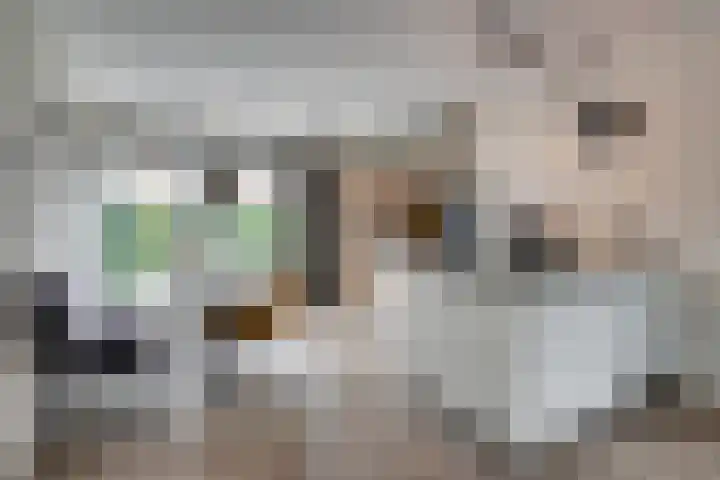 de Doelen 61 Geldrop thumbnail 15