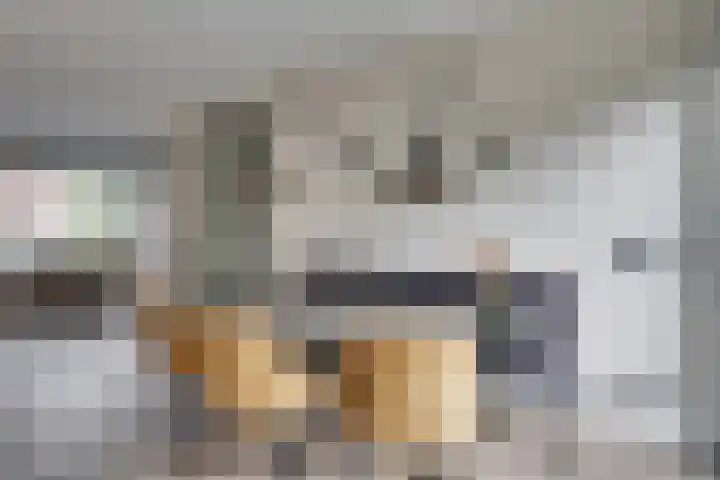 de Doelen 61 Geldrop thumbnail 17