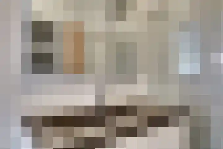 de Doelen 61 Geldrop thumbnail 28