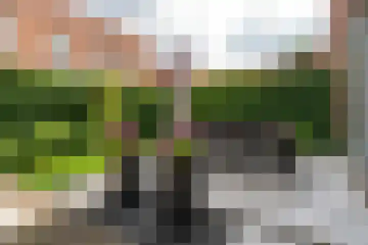 de Doelen 61 Geldrop thumbnail 39