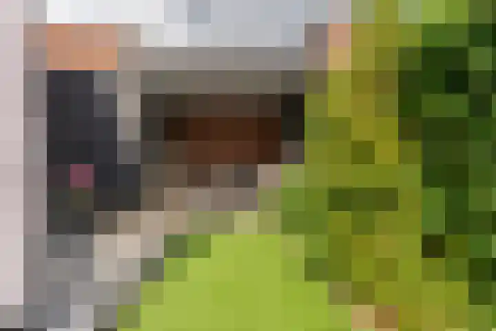 de Doelen 61 Geldrop thumbnail 44