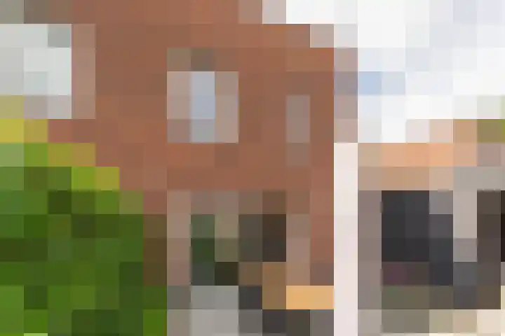 de Doelen 61 Geldrop thumbnail 45