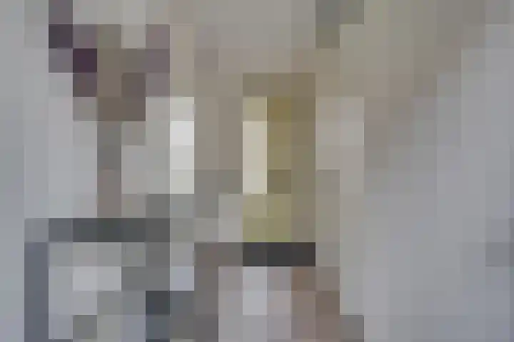 de Doelen 61 Geldrop thumbnail 7