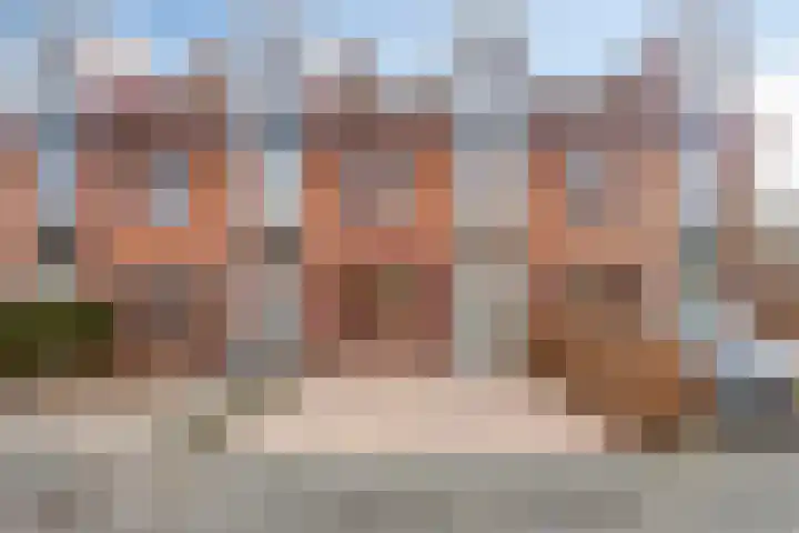 De Does 4 in Pijnacker