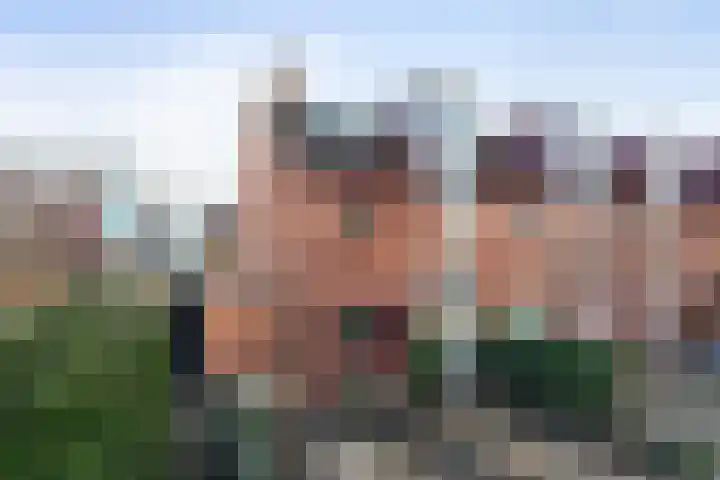 De Does 8 en Pijnacker