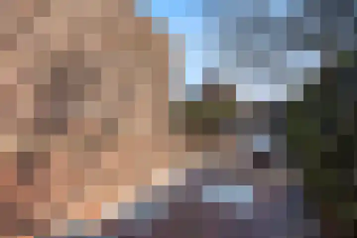 De Dommel 18 Naaldwijk thumbnail 13