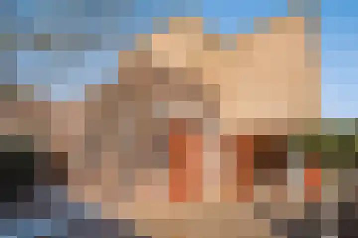 De Dommel 18 Naaldwijk thumbnail 17