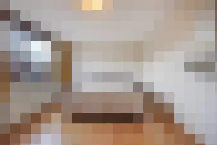 De Dommel 18 Naaldwijk thumbnail 39