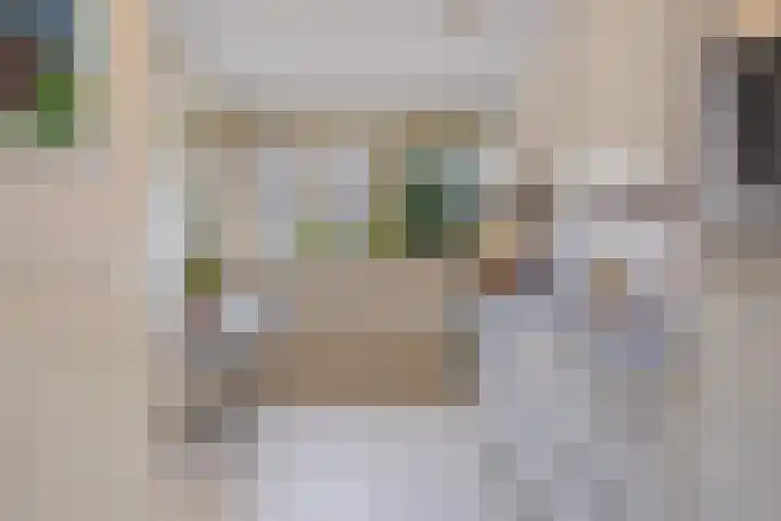 De Dommel 18 Naaldwijk thumbnail 5