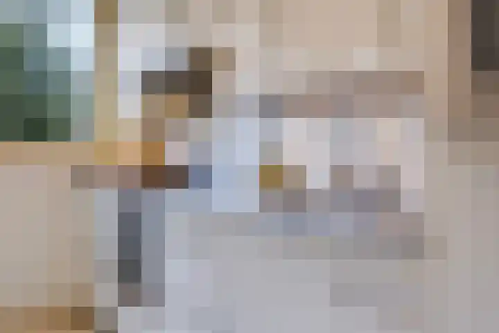 De Dommel 18 Naaldwijk thumbnail 6