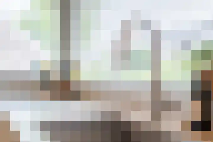 De Dommel 36 Goirle thumbnail 10