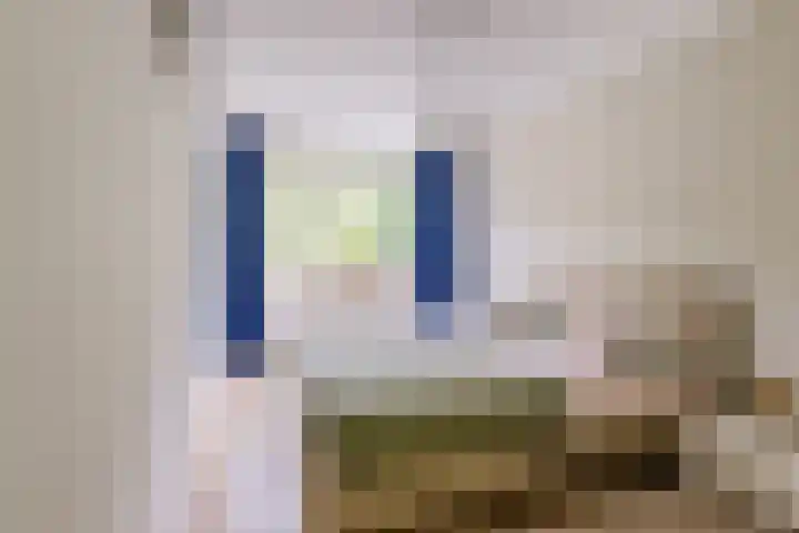 De Dommel 36 Goirle thumbnail 15