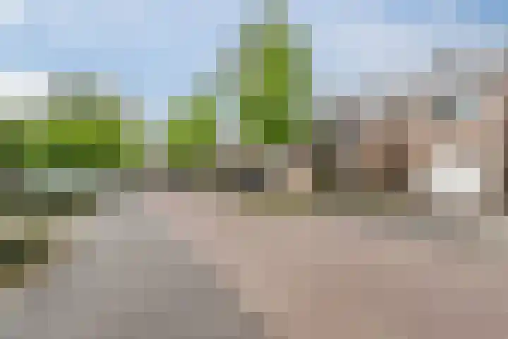 De Dommel 36 Goirle thumbnail 32