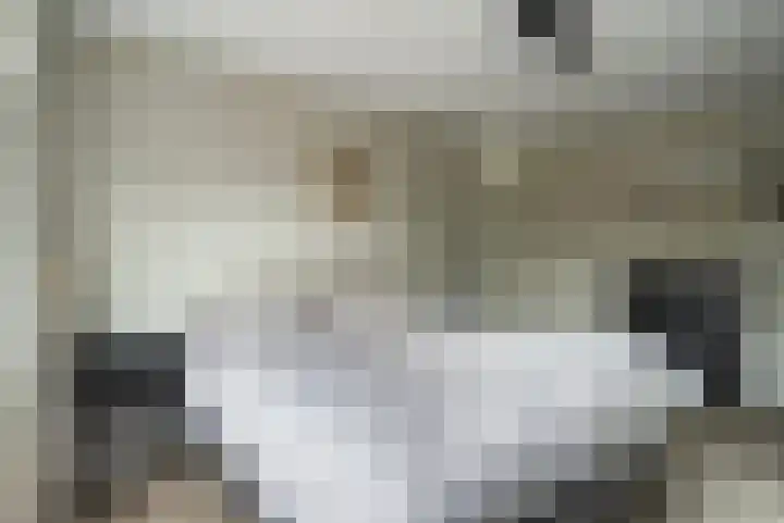 De Dommel 64 Goirle thumbnail 17
