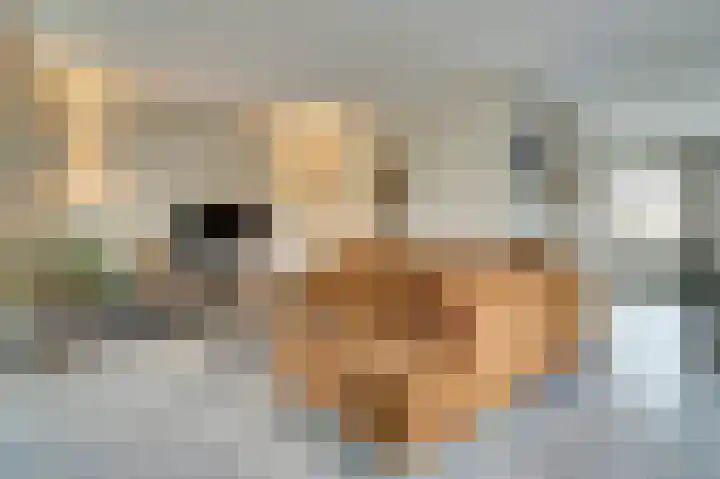 De Dommel 64 Goirle thumbnail 6