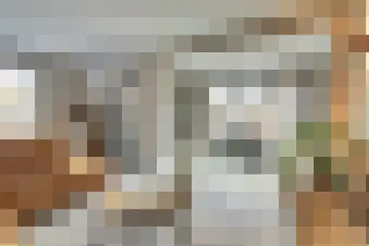 De Dommel 64 Goirle thumbnail 8