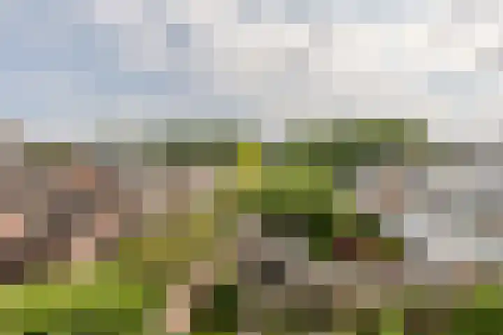 De Dommel 90 Goirle thumbnail 25