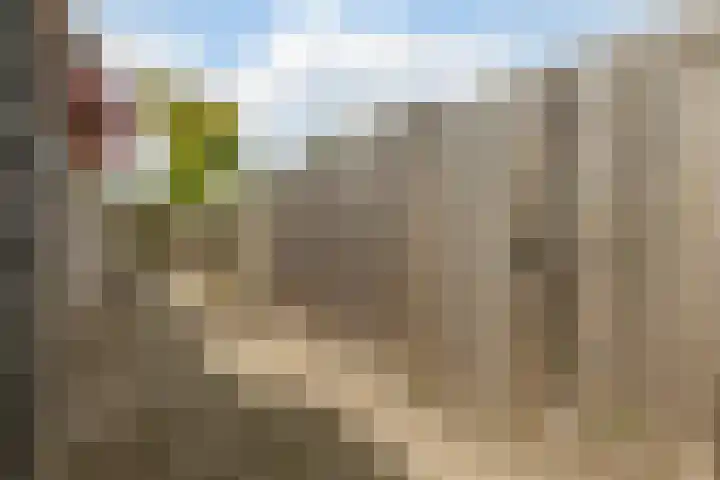 De Dommel 90 Goirle thumbnail 29