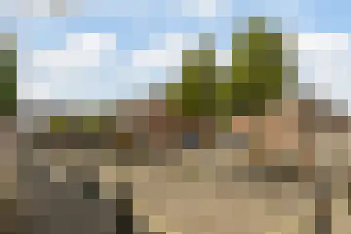 De Dommel 90 Goirle thumbnail 32