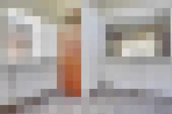 De Donk 11 Schaijk thumbnail 10