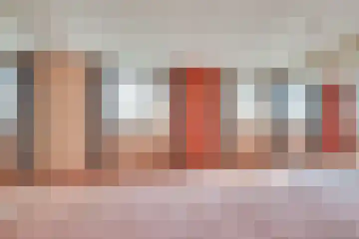 De Donk 11 Schaijk thumbnail 13