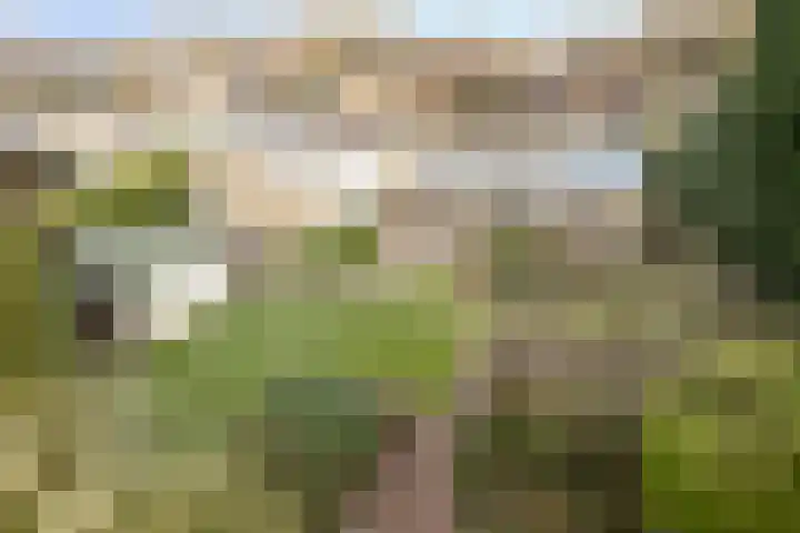 De Donk 20 Schaijk thumbnail 12