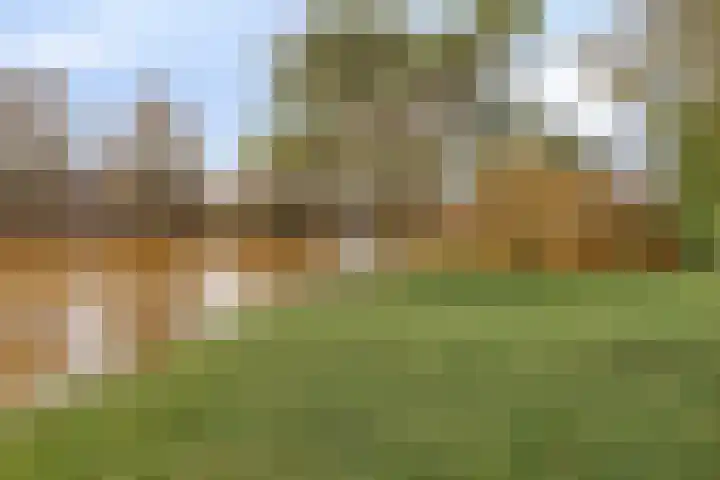 De Donk 20 Schaijk thumbnail 13
