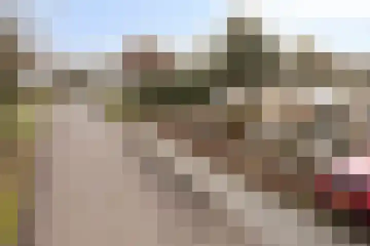 De Donk 20 Schaijk thumbnail 15