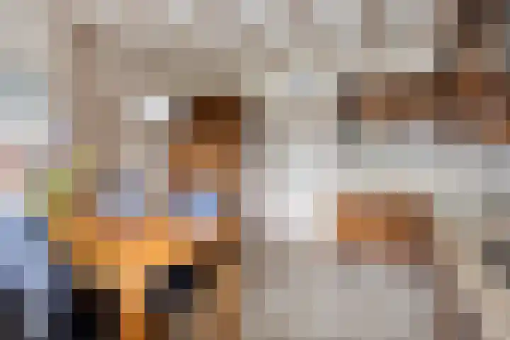 De Donk 20 Schaijk thumbnail 31
